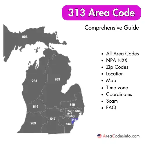 313 Area Code